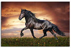 Zľava -50% Obraz Kôň Mustang 29214,150x100cm
